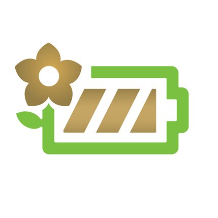 PE